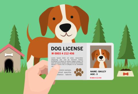 Dog License Placeholder Image